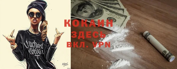 спиды Магас