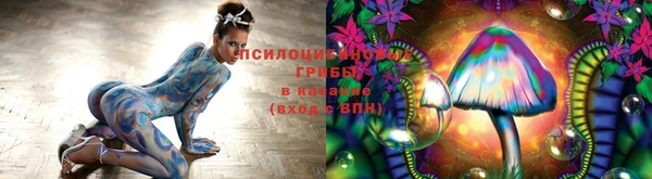 Альфа ПВП Майский