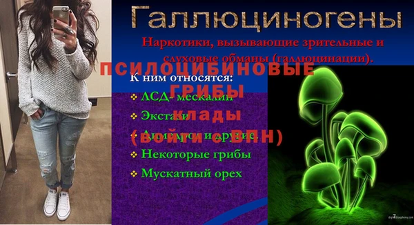 ECSTASY Магадан
