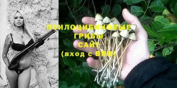 спиды Магас