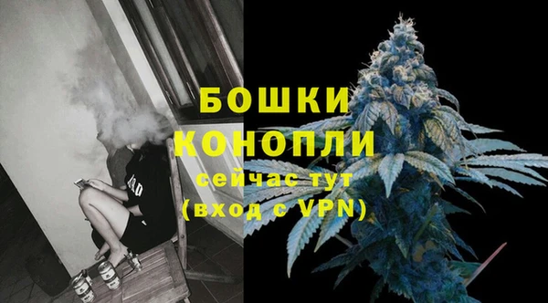 спиды Магас