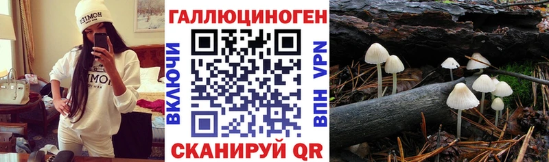 блэк спрут сайт  купить наркотики сайты  Мезень  Псилоцибиновые грибы MAGIC MUSHROOMS 